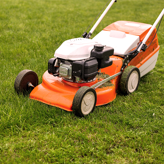 9 tips to get your lawn and garden ready for winter